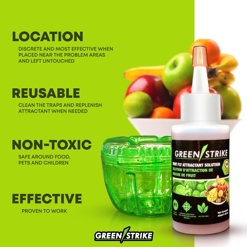 GREENSTRIKE 2-Pack Fruit Fly Traps for Indoors use. 120 Days