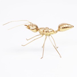 thewense Decorative Gold Butterfly Figurine, Metal Art Sculpture, Home Decor Collectible (Gold Ant-B)