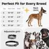 Dog Collar for Medium & Large Dogs - Black Silver