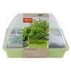 Pastel Indoor Greenhouse Set 29 x 19 x 19 cm