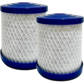 Nispira Replacement Water Filter Compatible with General Ecology Water Filtration Systems | Seagull IV X-1F, X-1D, X-1B, X-1P and Purest One TP-1 | 1000 Gal, 2 Pack