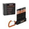 Railer Screwdriver Bit Set - Premium S2 Steel 3-1/2 Inch