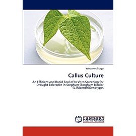 Callus Culture: An Efficient and Rapid Tool of In Vitro Screening for Drought Tolerance in Sorghum (Sorghum bicolor (L.)Moench)Genotypes