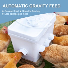 Chicken Feeder No Waste Automatic Poultry Feeder Ports Chicken Feeders and Waterer Set Chicken Feeder Kit 8 Chicken Water Cups with 8 auto Chicken Feeders Ports