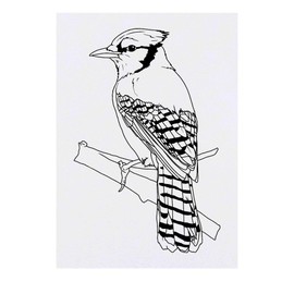 'Blue Jay on a Branch' Temporary Tattoo - Water Resistant, Skin-Safe, Non-Toxic Transfer (TO00085045)