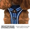 Elite Paws® UK: Premium Metal Buckle Dog Harness, Strong, Safe,