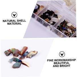 BIUDECO Elegant Manicure Sequins Decals Natural Shell Nail Gems for False Nails DIY Craft Projects