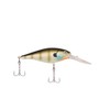 Berkley CURRICAN Flicker SHAD FFSH6M-MFBG
