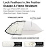 FISHDRU Goose Feathers and Down White Pillows with 100% Cotton
