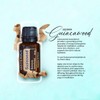 doTERRA Guaiacwood - Calming Oil Helpful for Meditation - 15ml