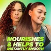 Garnier Fructis Sleek & Shine Moroccan Sleek Oil Treatment, Frizzy,