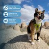 Voyager Step-In Lock Adjustable Cat Harness with Cat Leash Combo