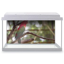 Aquarium Fish Tank Background 90x45 cm - Exotic Red Parrot Bird Jungle Static Cling Vinyl Vivarium Terrarium External Application #52833