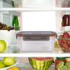 Generic Stainless Steel Rectangular Food Storage Container, 19cm x 9cm