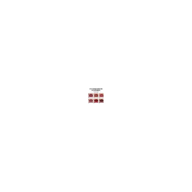 Set De 6 Labiales Handaiyan Lápiz Labial Color Rojo Mate