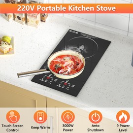 2 Burner Electric Cooktop, 12 Inch Electric Stove Top, Built-in Electric Cooktop with Sensor Touch Control, Timer & Child Lock Included,Keep Warm,9 Power Levels, 3000W, 220V-240V Hard Wired (No Plug)