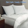 SILUI Flat Soft Thin Pillows Queen Size Set of 2