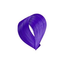 G & C Hair Color (Twilight Violet)