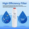 51300/C Filter Replacement Compatible with Elkay EWF3000, 51300-C Compatible with