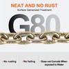 AAINHeavy Duty Chain 3/8" x 20" G80 Tow Chains with
