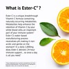 Ester-C with Citrus Bioflavonoids Capsules - 24-Hour Immune Support, Gentle