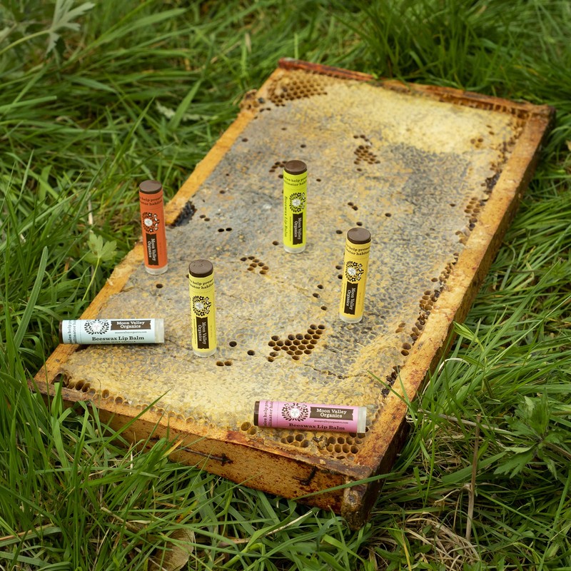 Moon Valley Organics Beeswax Lip Balm for Moisturizing Lips and