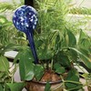 Aqua Globes AG011706 Glass Plant Watering Bulbs, 2-Pack