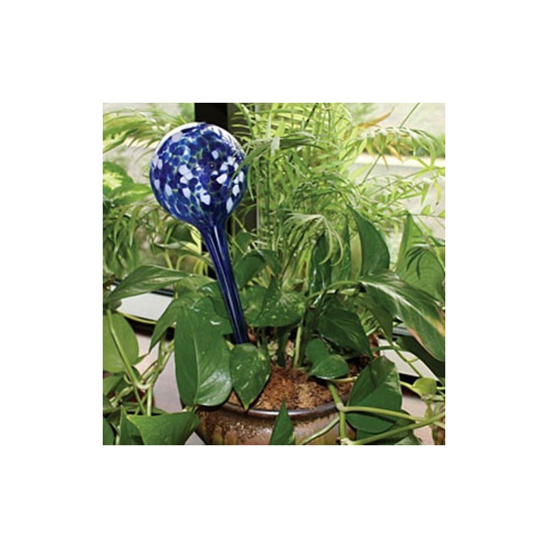 Aqua Globes AG011706 Glass Plant Watering Bulbs, 2-Pack
