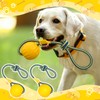 Hsei 2 Pcs Large 3.5inch Dog Toy Ball on a