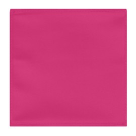 Jacob Alexander Men's Pocket Square Solid Color Handkerchief - Fuchsia
