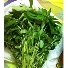 100 Jute Seeds, Egyptian Spinach,Saluyot, Molokhia, Plant Spring Or Summer