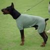 LoveLongLong Dog Jumpsuit with UV Protection and Quick-Dry Fabric for