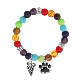 WSNANG Veterinarian Gift Veterinary Technician Charm Bracelet Veterinary Charm Veterinary Student Graduation Gift (CA Veterinarian C-bead)