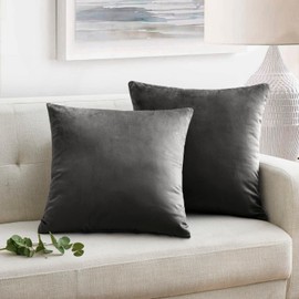 Oxford Homeware Velvet Cushion Covers 45 x 45 cm Set of 2 Square Throw Pillow Cases Decorative Bedroom Cushion Covers for Sofa Living Room Car with Invisible Zipper (Charcoal, 18 x 18 Inch)