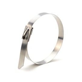 Electriduct 304 Stainless Steel Cable Ties 10 Inch 350 Lbs Heavy Duty Self Locking Ball Lock Zip Ties UV Resistant (25 Pack)