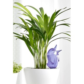 Scheurich 087 Accessoires Bördy S, blue