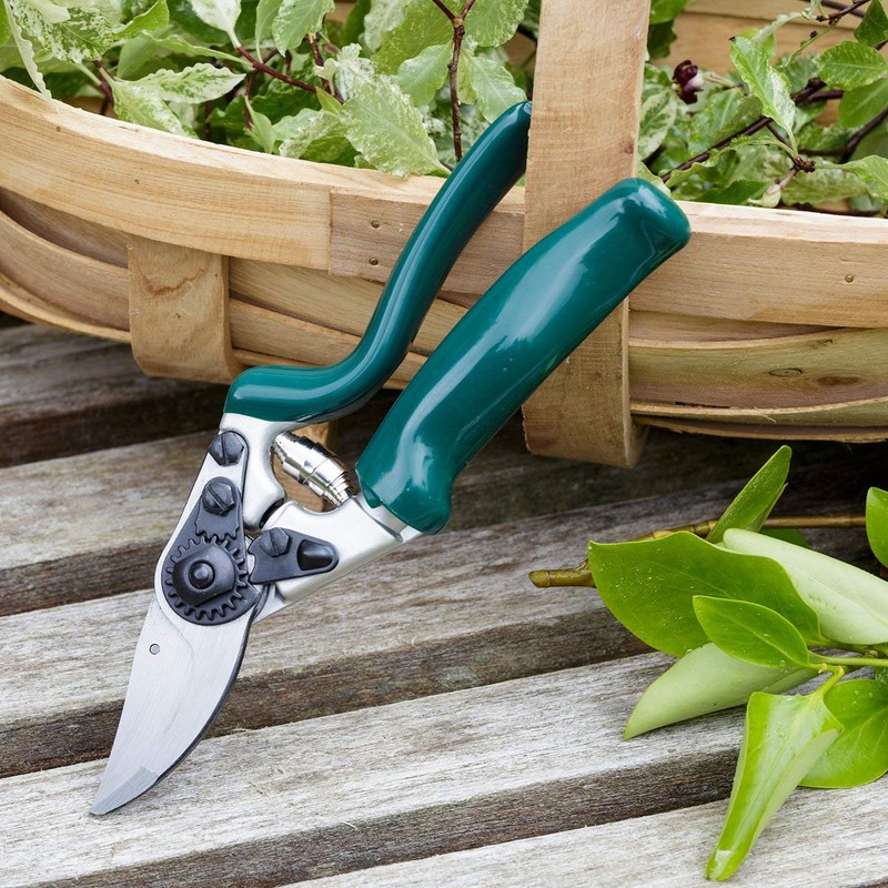 Professional Rotating Handle Bypass Secateur