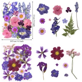 140Pcs Dried Pressed Flowers Leaves kit for Resin Molds,Purple Real Natural Dry Pressed Flowers for Nails Art Phone Cases Scrapbook Supplies Card Soap Candle Jewelry Making