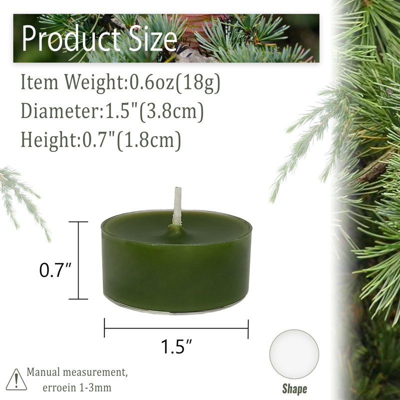 Green Tea Lights Candles Set of 24, Cedar Scented Long