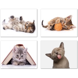 Small World Greetings Playful Kitten Cards 12 Count - Blank Inside with Envelopes - A2 Size (5.5”x4.25”) - Cat Stationery - All Occasion, Thank You, Birthday, and More