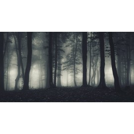 MFWFM Dark Foggy Forest Wallpaper Misty Jungle Rainforest Trees Nature Landscape Wall Mural(Not Peel n' Stick)