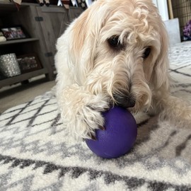 SimpleDog Doggie Dooley Ball Heavy Duty Dog Ball Toy for Aggressive Play, Purple, USA Made, Small 4 inch