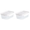 Asbel 3322 Storage Container, Oblong Type, Large DP 2 Pieces,