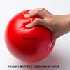 トーエイライト(TOEI LIGHT) ソフトフォームボール180 赤 B-7070R (約)直径18cm