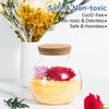 5.2 LBS Silica Gel Flower Drying Crystals, Reusable Color Changing