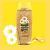 Manzanilla Grisi, Cleansing Shampoo with Chamomile Extract, 2 Pack, 13.5