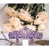 Cuppqq 102nd Birthday Sash and Tiara for Women Purple -