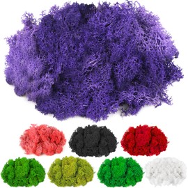 CCINEE Moss Preserved, 4 OZ Fake Reindeer Moss for Potted Plants for Craft Arts Floral Wall Decor Wedding Centerpieces Fairy Garden Artificial Terrariums Decoration for Christmas(Purple)