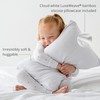 Dreamland Baby Premium Toddler Pillow and Pillowcase, 13 x 18.