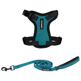 Voyager Step-in Lock Adjustable Cat Harness w. Cat Leash Combo Set with Neoprene Handle 5ft - Supports Small, Medium and Large Breed Cats by Best Pet Supplies - Turquoise/Black Trim, XXS